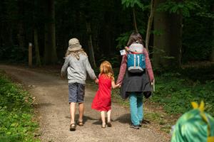 foto: Schatten van Vlieg Bulskampveld