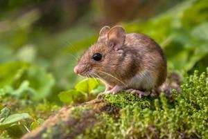 foto: AdobeStock_77505735.jpg