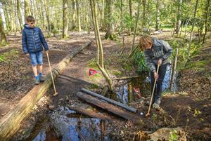 foto: Bos op Stelten