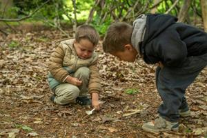 foto: afbeelding (4).jpg